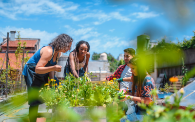 Starting a Community Garden